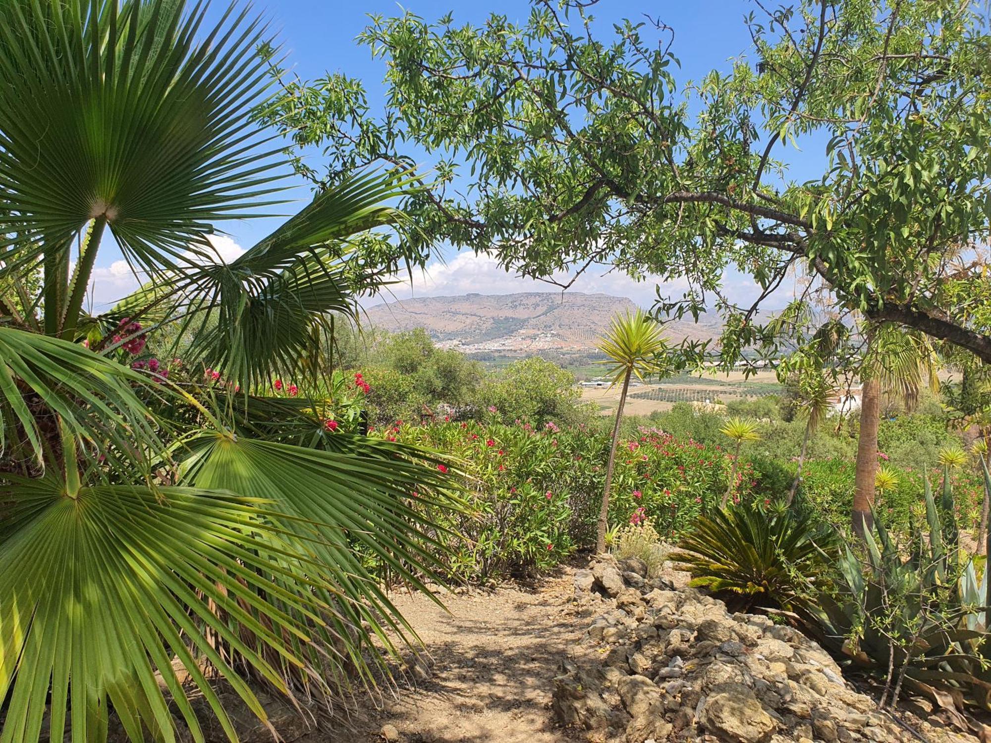 بيزارا Finca Flamenco Holiday Suites Adults Only المظهر الخارجي الصورة